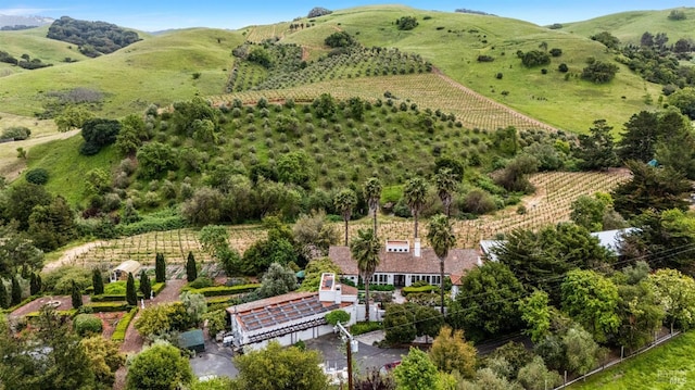 bird's eye view with a mountain view and a rural view