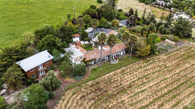 bird's eye view