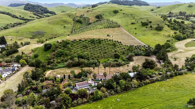bird's eye view with a rural view