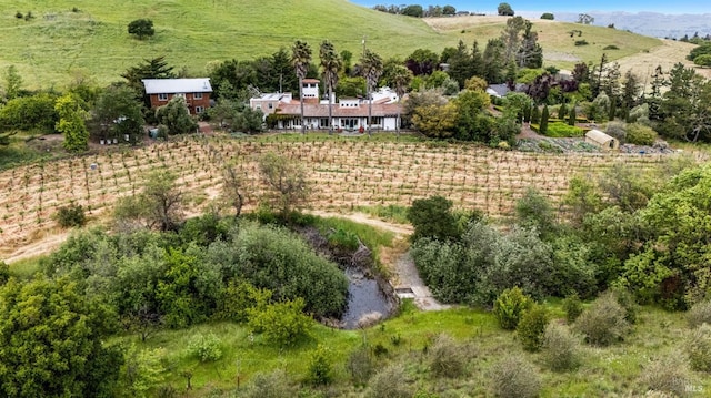 bird's eye view featuring a mountain view and a rural view