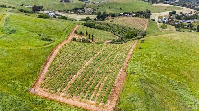 bird's eye view with a rural view