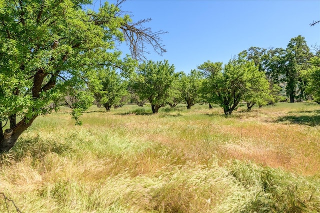 view of nature