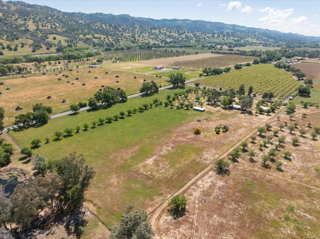 birds eye view of property with a rural view and a mountain view