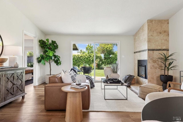 living room featuring wood finished floors and a fireplace