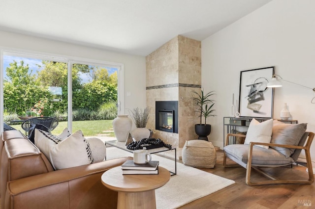 living room featuring wood finished floors and a fireplace
