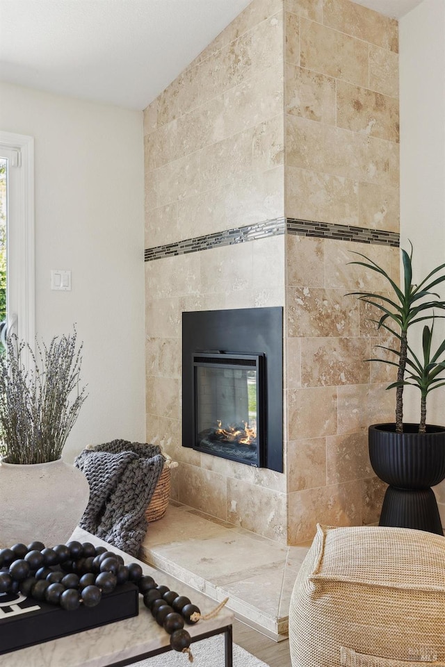 details with wood finished floors and a fireplace