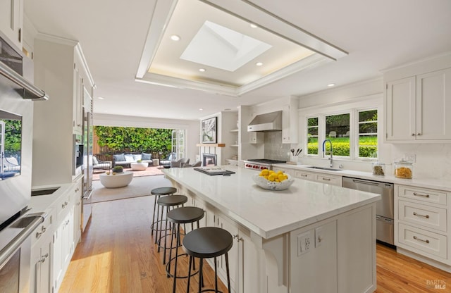 kitchen with a skylight, stainless steel dishwasher, a sink, ventilation hood, and a tray ceiling