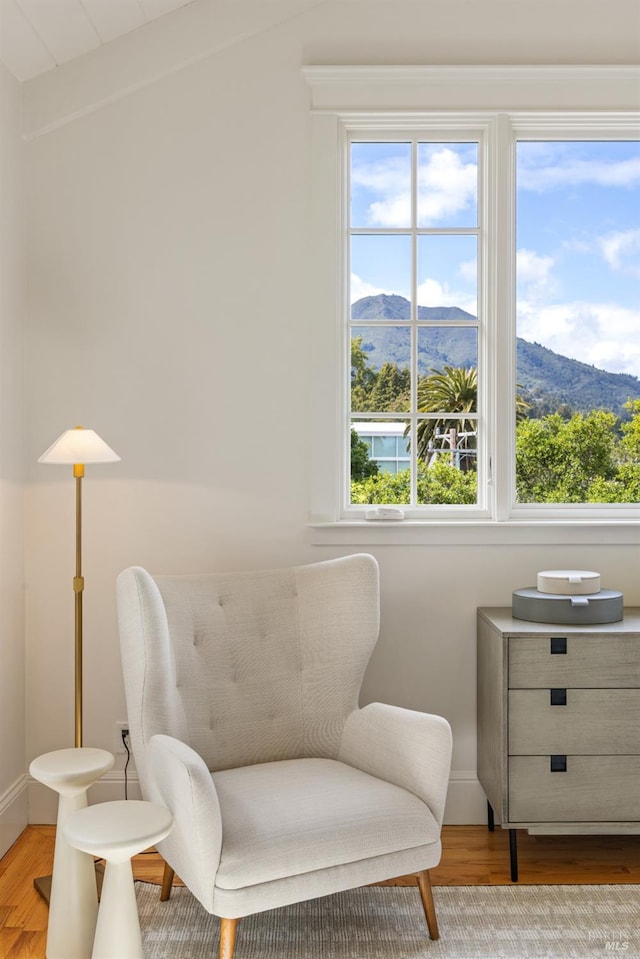 living area with a mountain view, wood finished floors, and a wealth of natural light