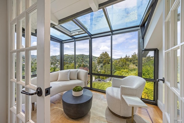 sunroom featuring a skylight and wood finished floors