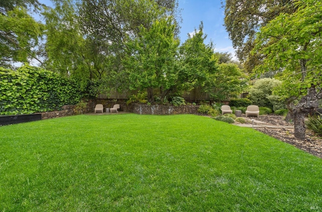 view of yard