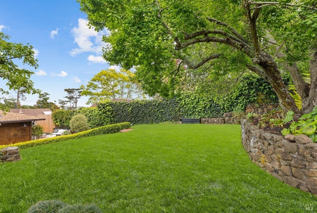 view of yard