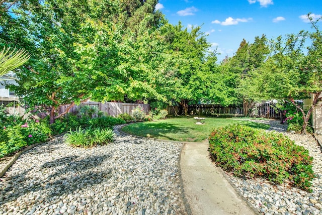 3432 Norwalk Pl, Fairfield, CA 94534 - view of yard