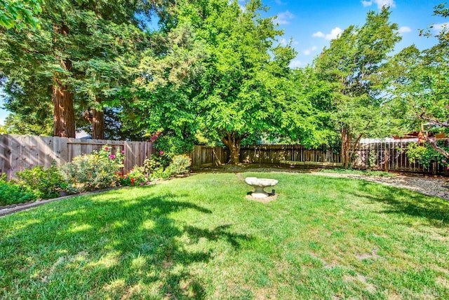 3432 Norwalk Pl, Fairfield, CA 94534 - view of yard
