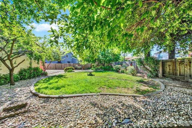 3432 Norwalk Pl, Fairfield, CA 94534 - view of yard