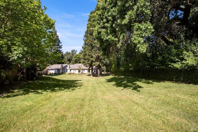 view of yard