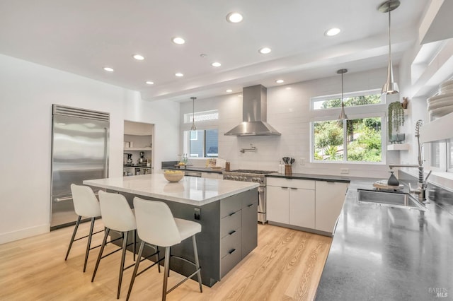 kitchen with a sink, high end appliances, a healthy amount of sunlight, and extractor fan