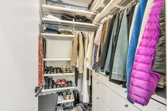 view of walk in closet