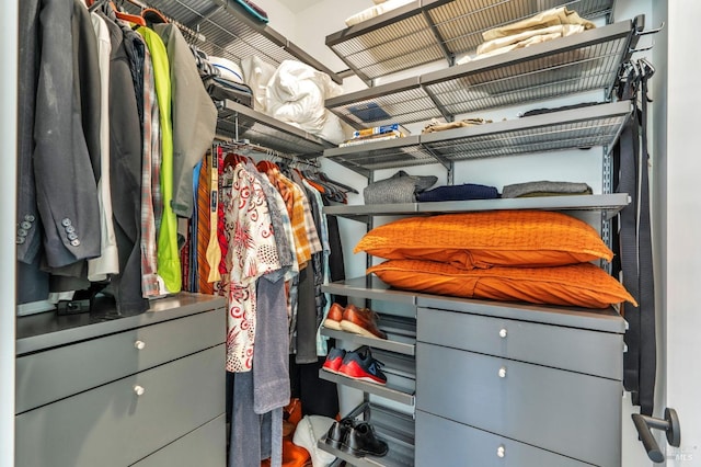 view of walk in closet