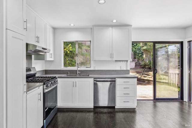 kitchen featuring a sink, a wealth of natural light, stainless steel appliances, and under cabinet range hood