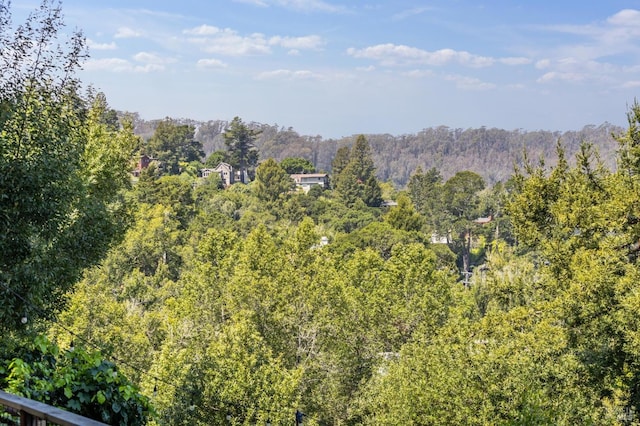 property view of mountains featuring a forest view