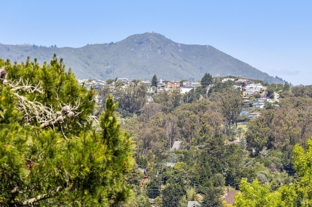 mountain view featuring a forest view