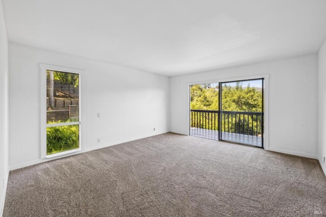 carpeted spare room with baseboards and plenty of natural light