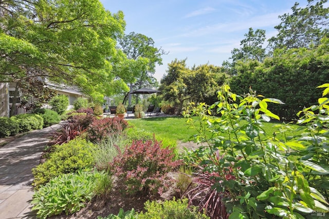 view of home's community featuring a yard