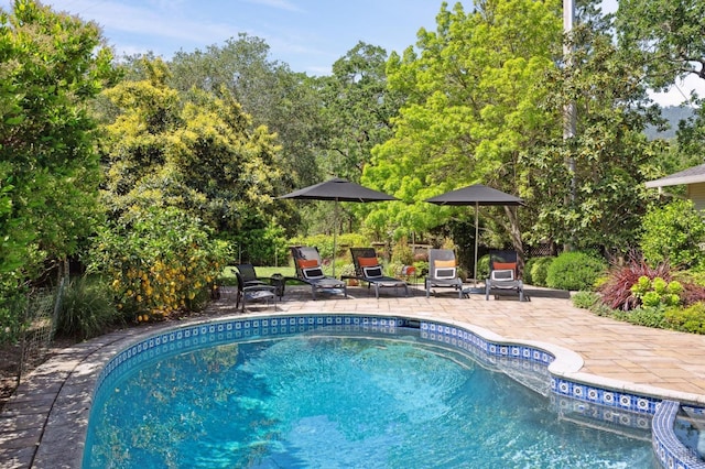 pool with a patio