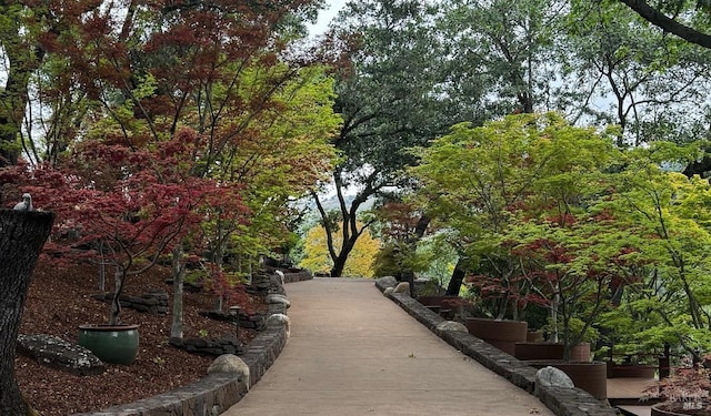 view of community