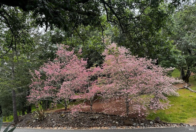 view of nature