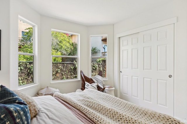 bedroom with a closet and multiple windows