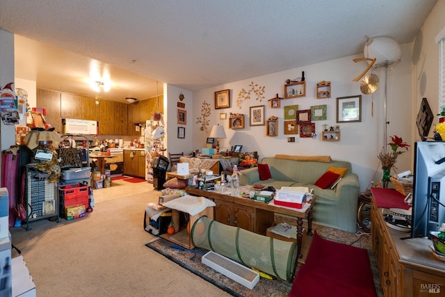 living room with light carpet