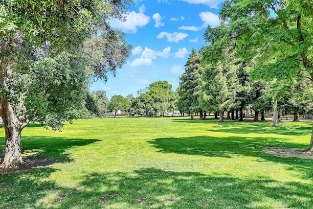 1426 Shelby Dr, Fairfield, CA 94534 - view of property's community with a yard