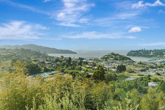 mountain view featuring a water view