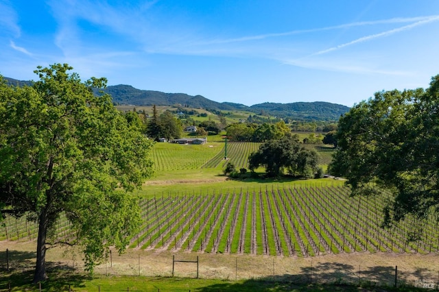 view of home's community with a rural view, fence, and a mountain view