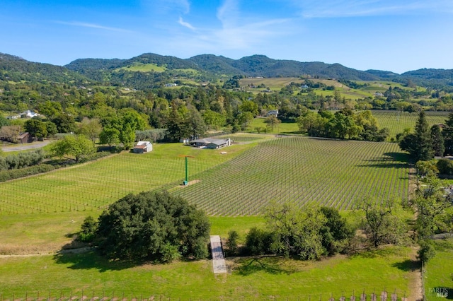 drone / aerial view with a rural view and a mountain view