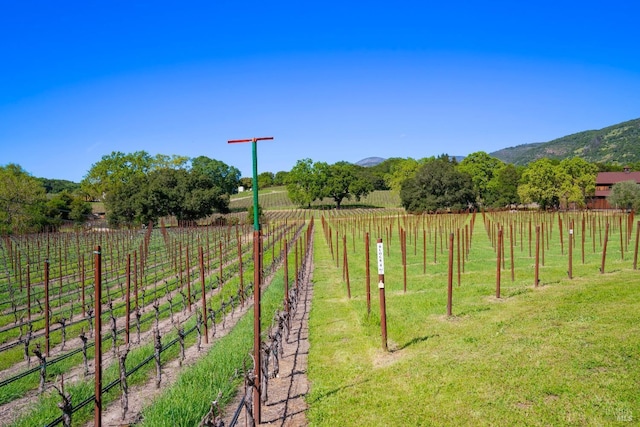 view of yard featuring a mountain view, fence, and a rural view