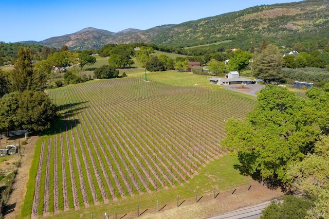 bird's eye view featuring a mountain view and a rural view