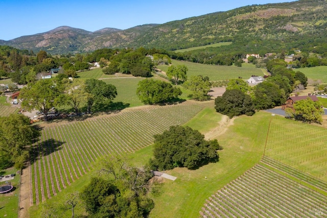 drone / aerial view with a rural view and a mountain view