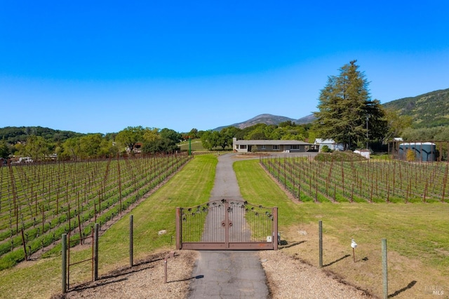 view of yard featuring fence, a gate, a mountain view, and a rural view