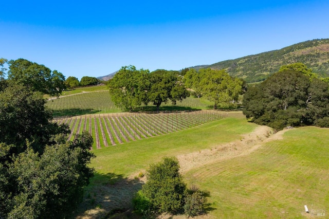 surrounding community with a mountain view and a rural view