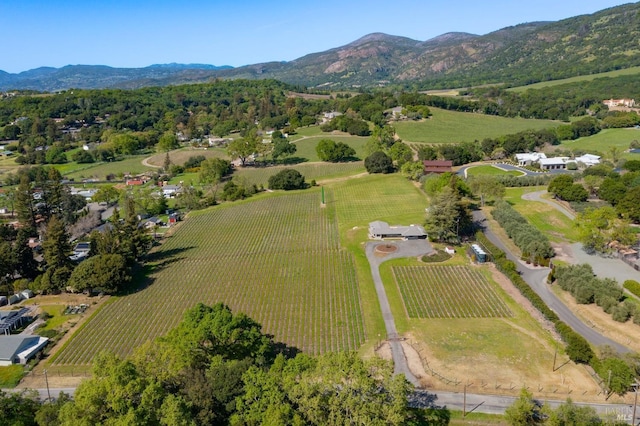 drone / aerial view featuring a mountain view and a rural view