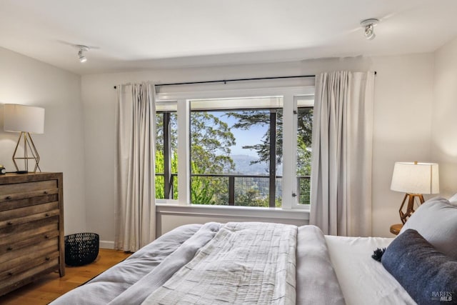 bedroom featuring wood finished floors