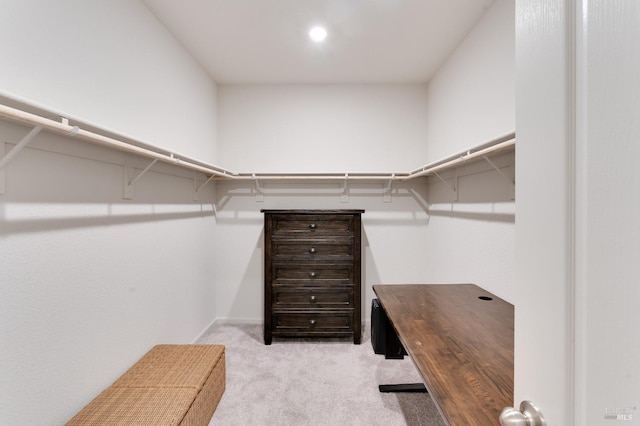 spacious closet featuring light colored carpet