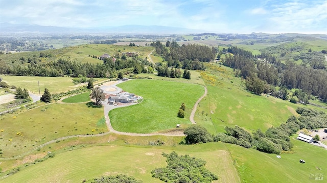 6200 Burnside Rd, Sebastopol, CA 95472 - aerial view of sparsely populated area