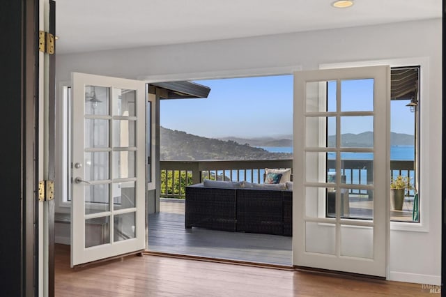 doorway with a mountain view and wood finished floors