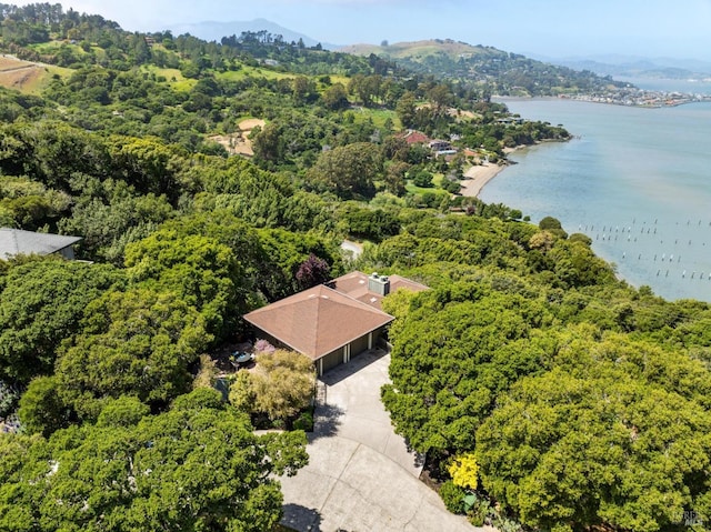 aerial view with a water view and a view of trees