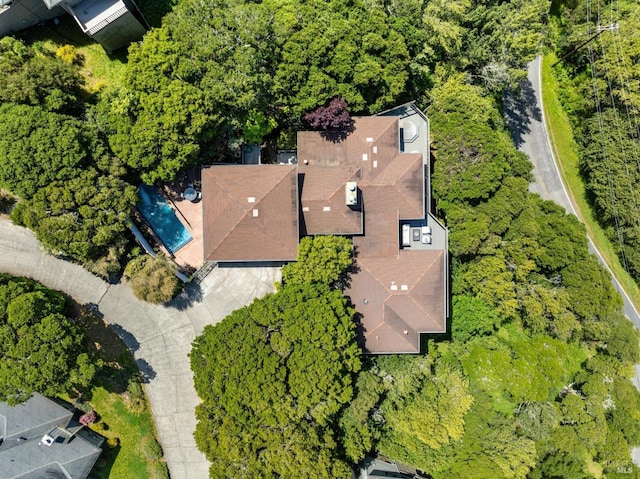 drone / aerial view