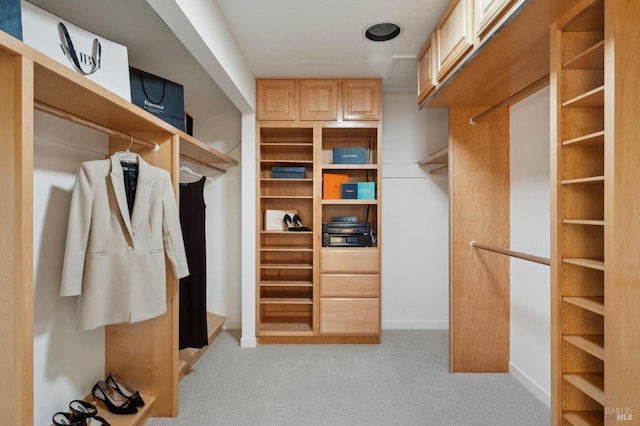 spacious closet with light carpet