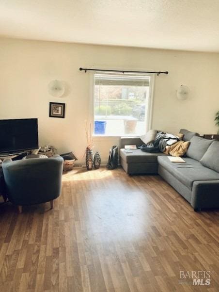 living room with wood finished floors